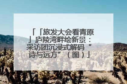 「旅发大会看青原」庐陵湾畔绘新景：采访团沉浸式解码“诗与远方”（图）
